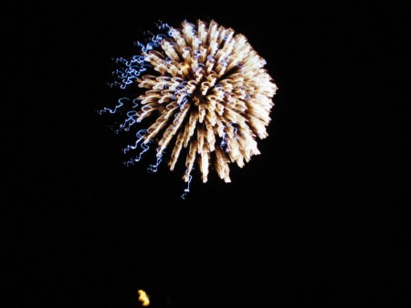 ...das Feuerwerk jedes Jahr ein anderes Motto zu Grunde gelegt wird